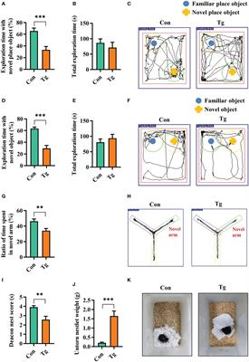 A metabolite attenuates neuroinflammation, synaptic loss and cognitive deficits induced by chronic infection of Toxoplasma gondii